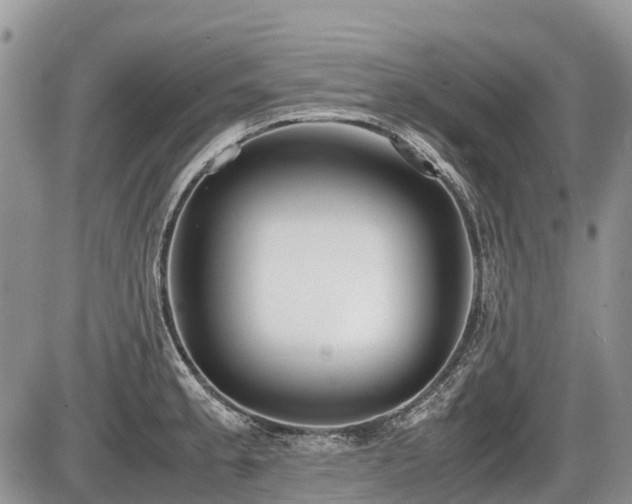 X0000086761189200704131108