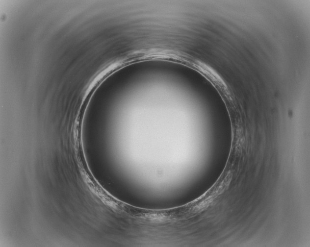 X0000086761190200704131108