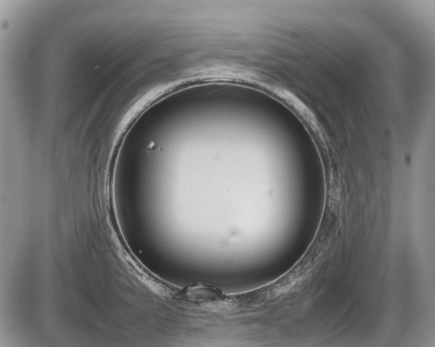 X0000086761191200704131108