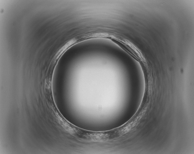 X0000086761193200704131108