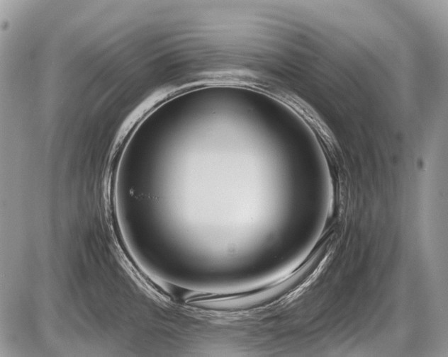 X0000086761196200704131108