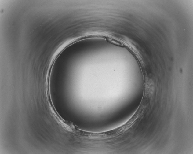 X0000086761199200704131108
