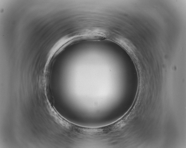 X0000086761200200704131108