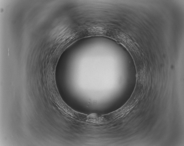 X0000086761201200704131107
