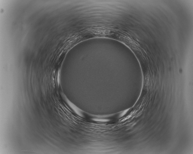 X0000086761202200704131107