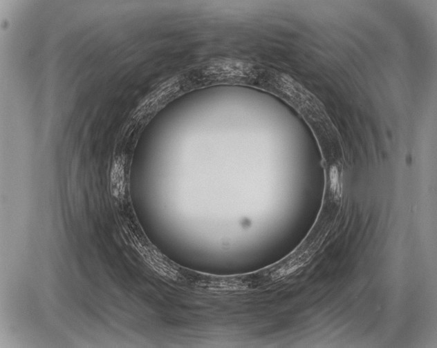 X0000086761203200704131107