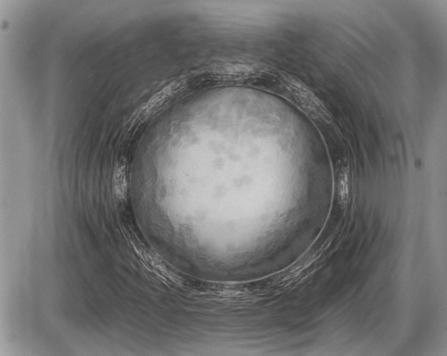 X0000086761204200704131107