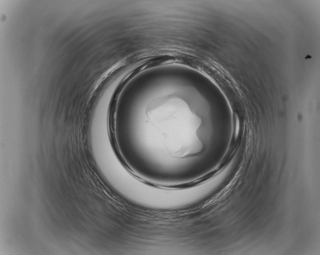X0000086761210200704131107