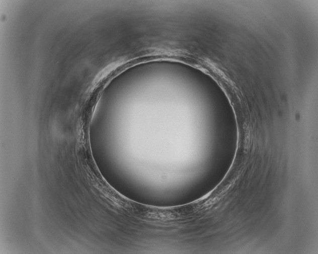X0000086761215200704131107