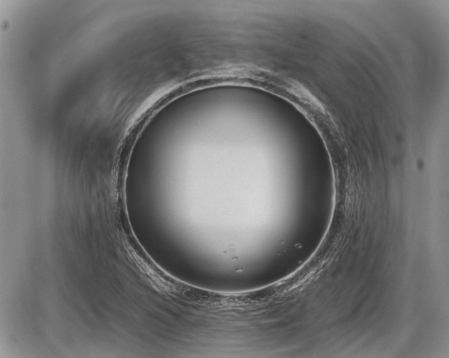 X0000086761216200704131107
