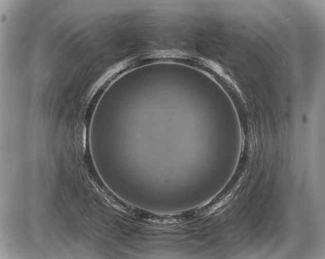 X0000086761221200704131107
