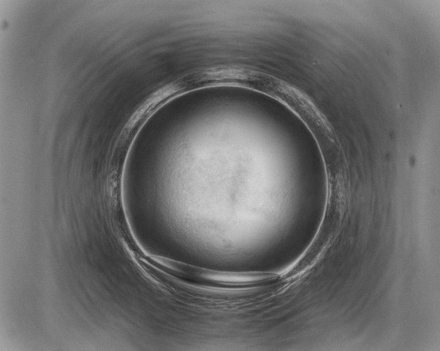 X0000086761225200704131107