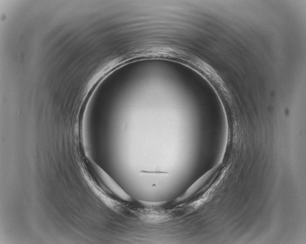 X0000086761234200704131107