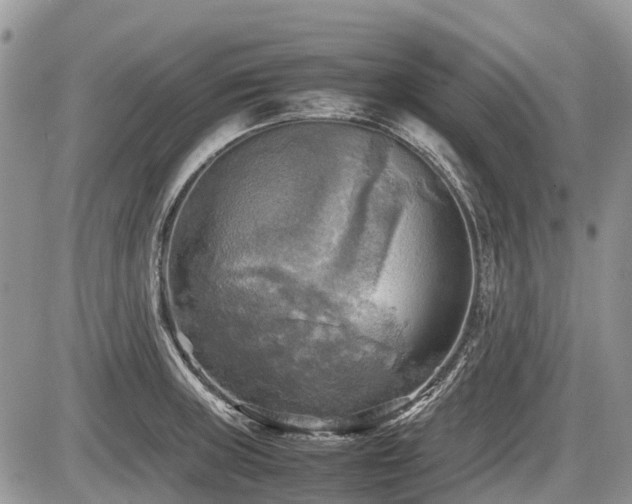 X0000086761235200704131107