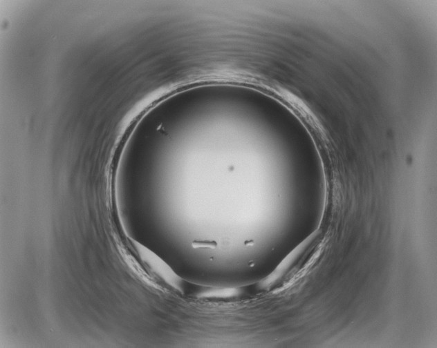X0000086761238200704131107