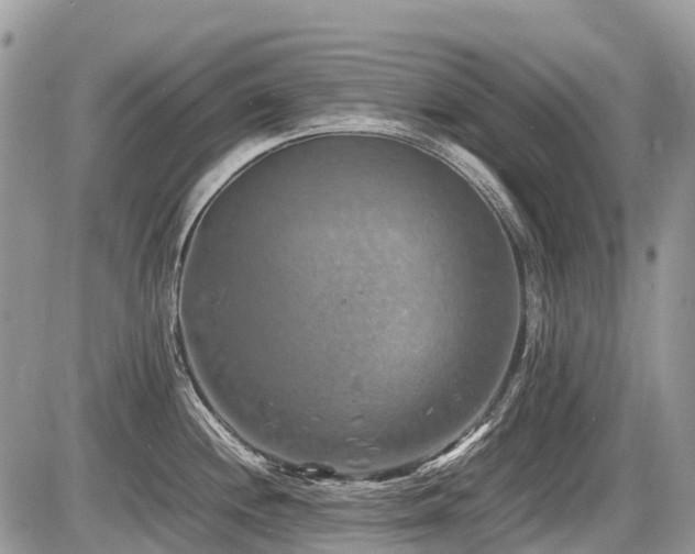 X0000086761244200704131107