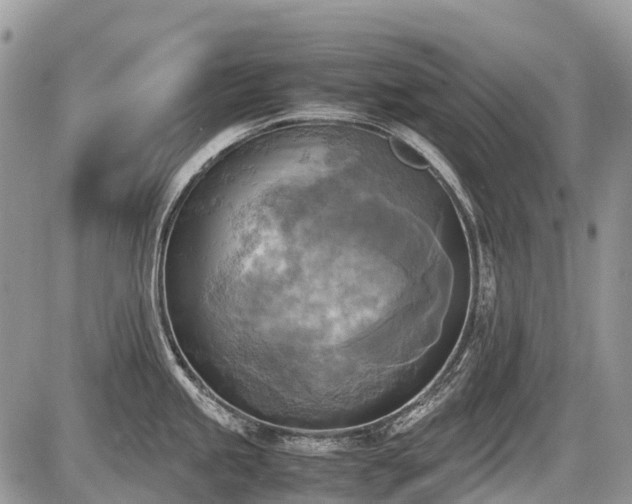 X0000086761245200704131108