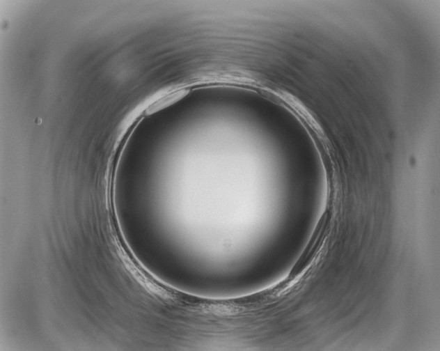 X0000086761246200704131108
