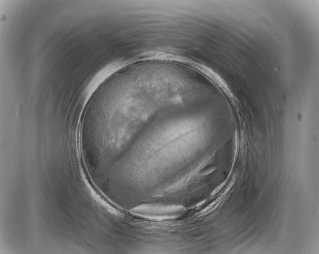 X0000086761247200704131108