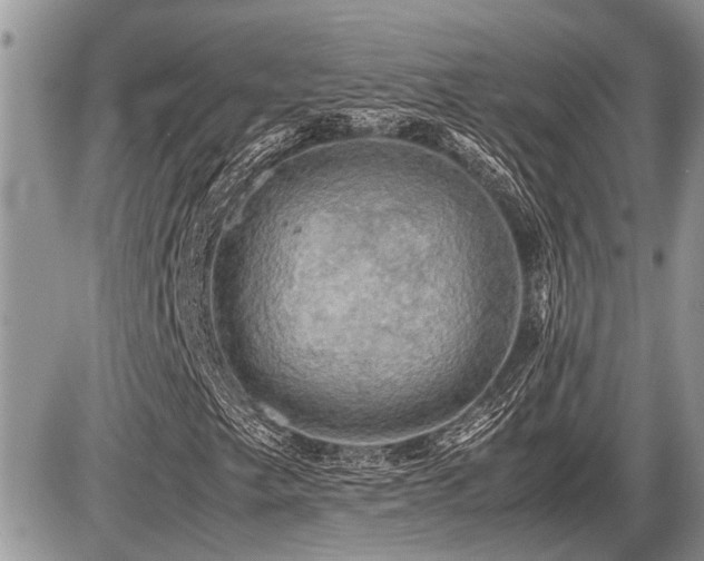 X0000086761249200704131107