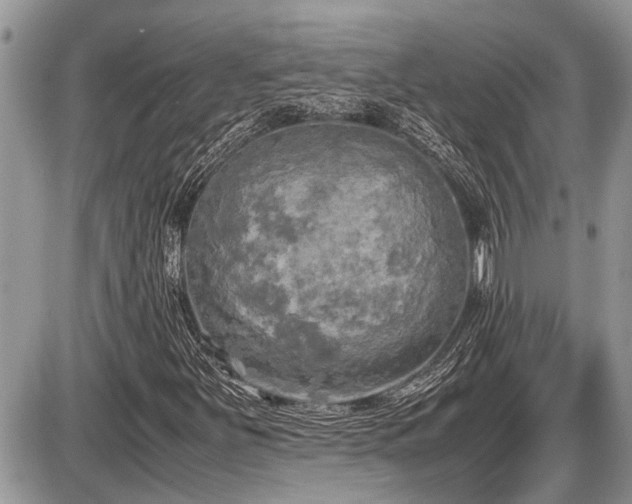 X0000086761251200704131107