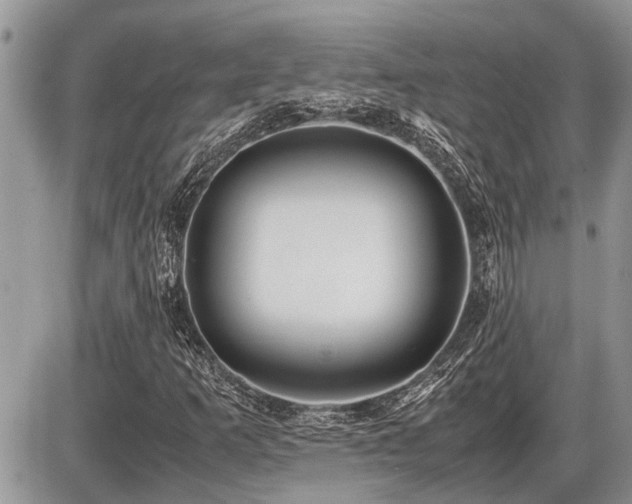 X0000086761253200704131107