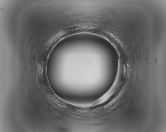 X0000086761257200704131107