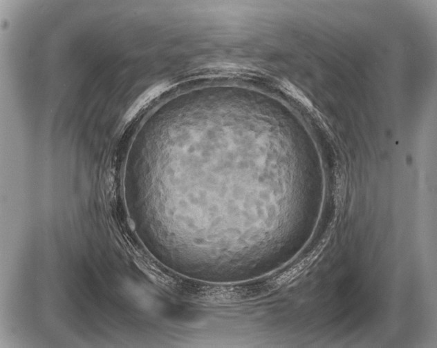X0000086761259200704131107