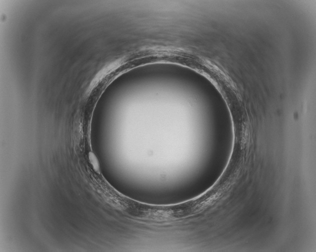X0000086761261200704131107