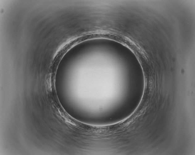 X0000086761262200704131107