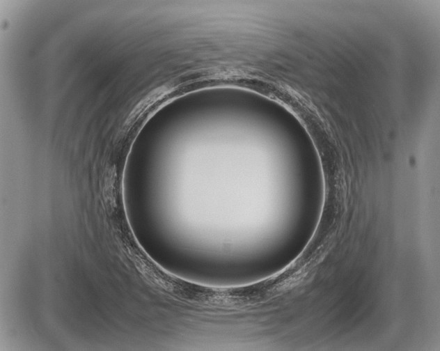 X0000086761265200704131106