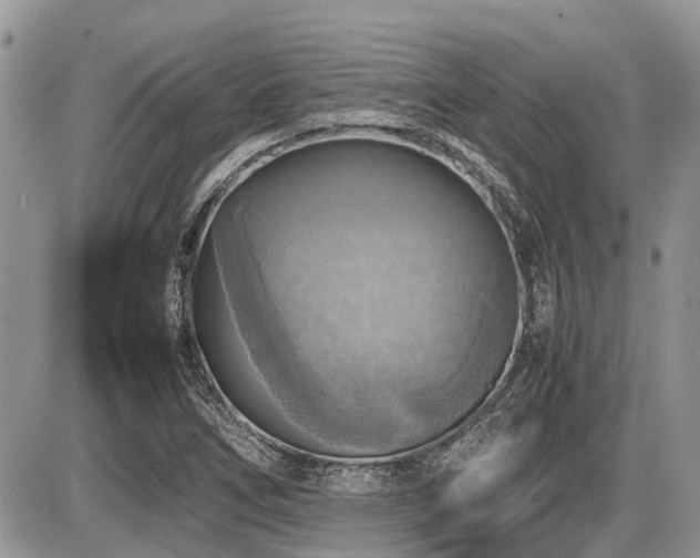 X0000086761266200704131106
