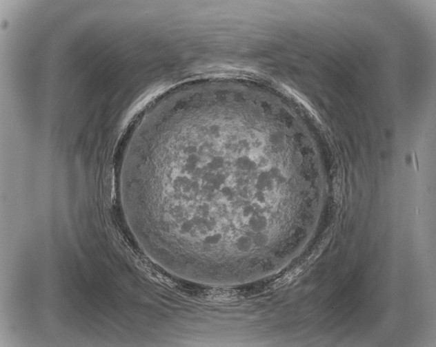X0000086761267200704131106