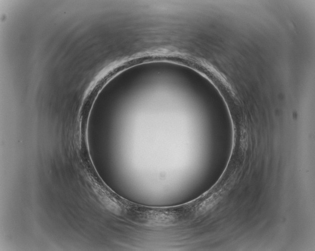 X0000086761270200704131106