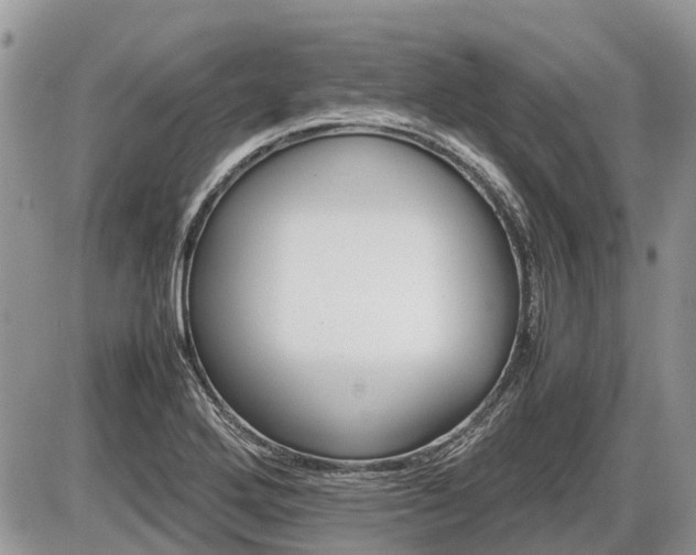 X0000086761272200704131106
