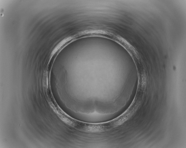 X0000086761274200704131106