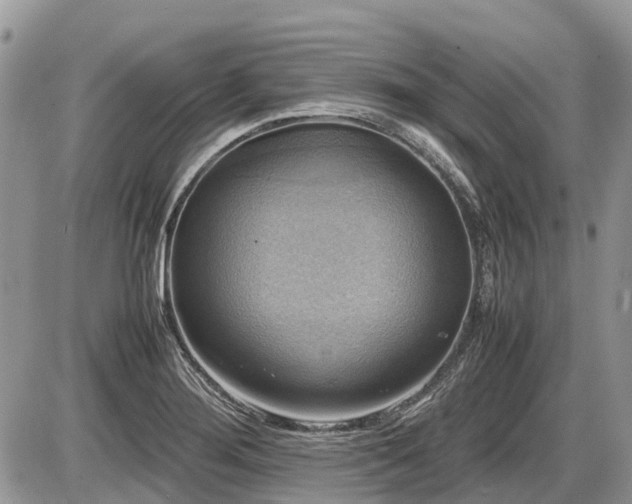 X0000086761276200704131106