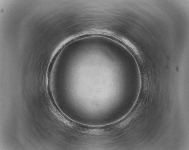 X0000086761280200704131106