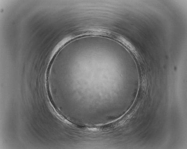 X0000086761283200704131106