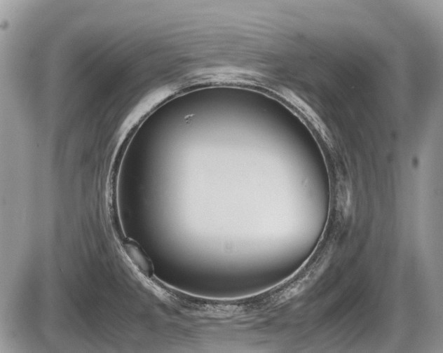 X0000086761285200704131106