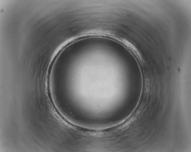 X0000086761288200704131106