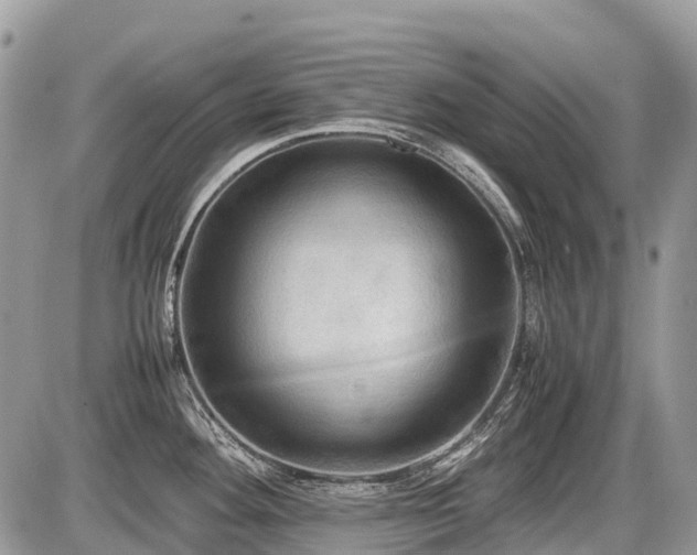 X0000086761292200704131106