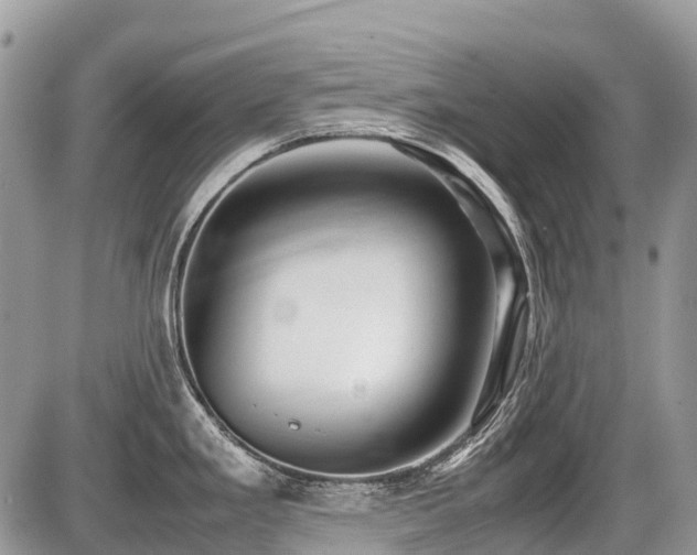 X0000086761293200704131106