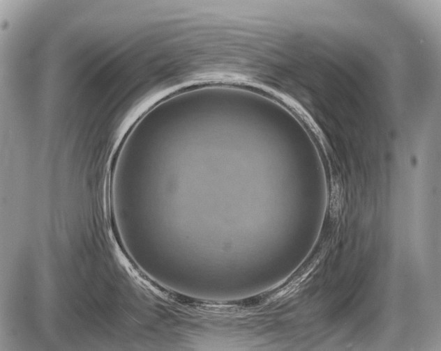 X0000086761295200704131106