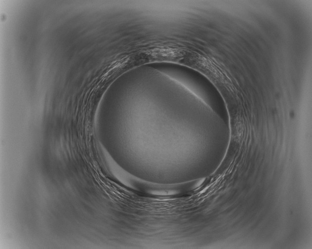 X0000086761297200704131105