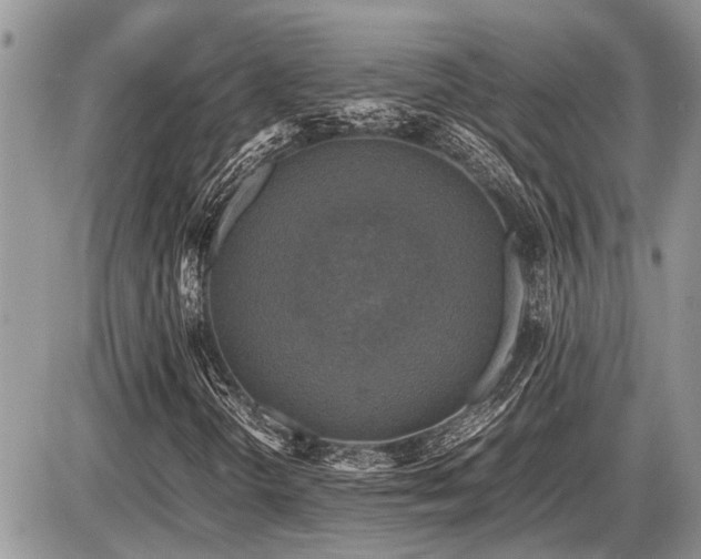 X0000086761298200704131105