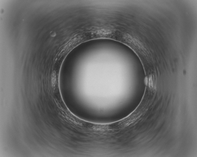 X0000086761299200704131105