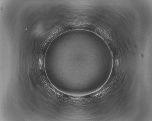X0000086761300200704131105