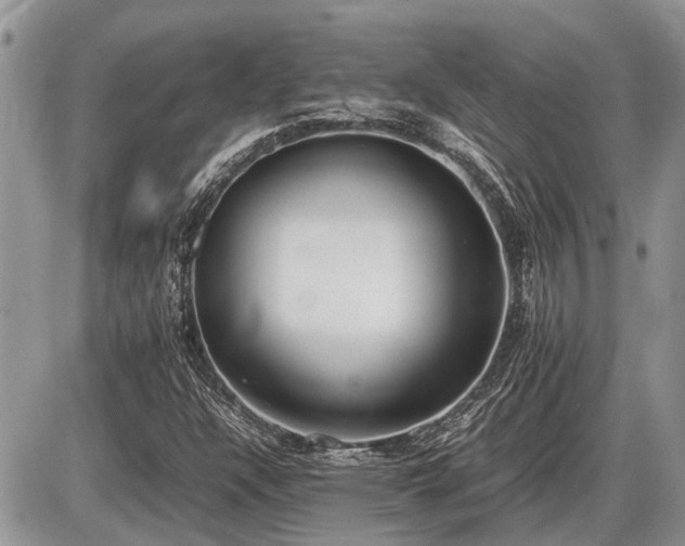 X0000086761304200704131105