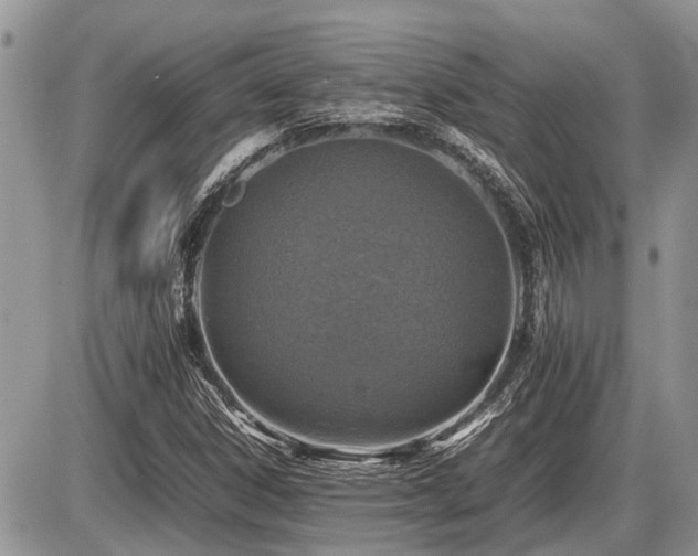 X0000086761306200704131105